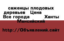 саженцы плодовых деревьев › Цена ­ 6 080 - Все города  »    . Ханты-Мансийский